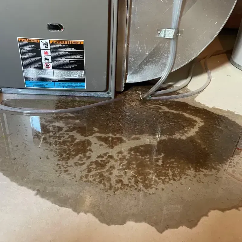 Appliance Leak Cleanup in Sutton, MA